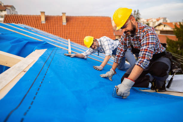 Best Roof Ventilation Installation  in Rocky Mount, NC