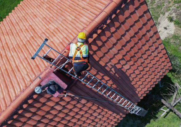 Best Asphalt Shingle Roofing  in Rocky Mount, NC